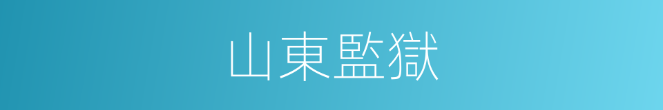 山東監獄的同義詞