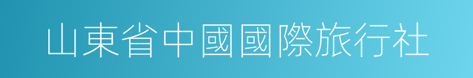 山東省中國國際旅行社的同義詞