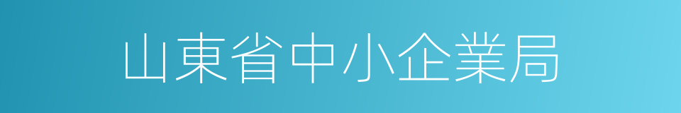 山東省中小企業局的同義詞