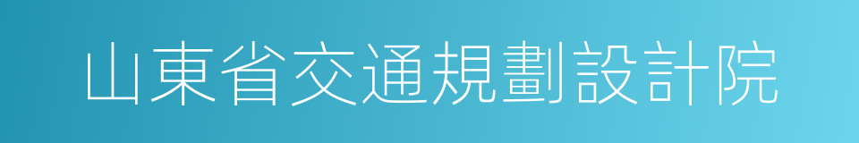 山東省交通規劃設計院的同義詞