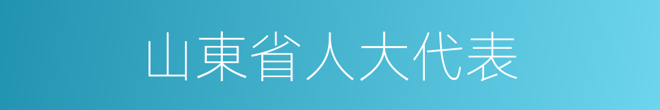 山東省人大代表的同義詞