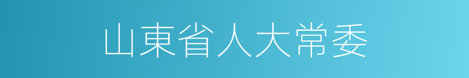 山東省人大常委的同義詞