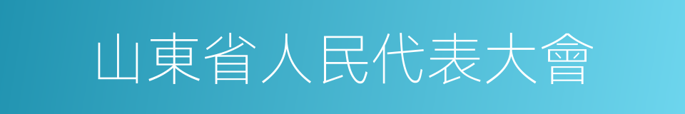 山東省人民代表大會的同義詞