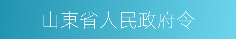 山東省人民政府令的同義詞