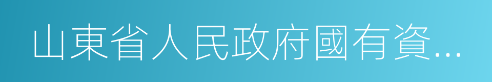 山東省人民政府國有資產監督管理委員會的同義詞