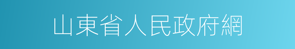 山東省人民政府網的同義詞