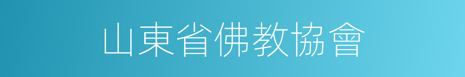 山東省佛教協會的同義詞