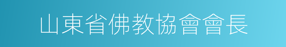 山東省佛教協會會長的同義詞