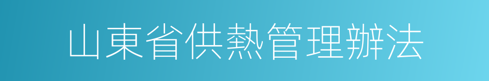 山東省供熱管理辦法的同義詞