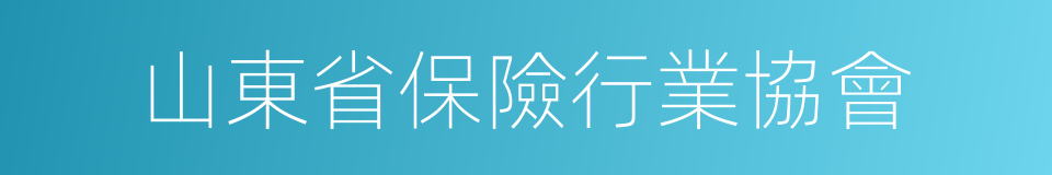 山東省保險行業協會的同義詞