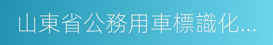 山東省公務用車標識化管理實施方案的同義詞