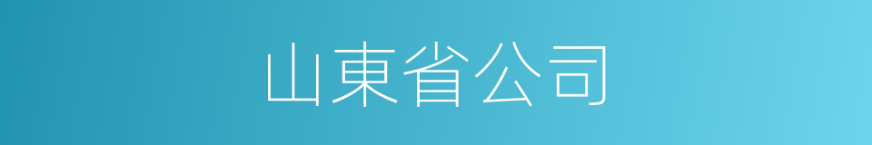 山東省公司的同義詞