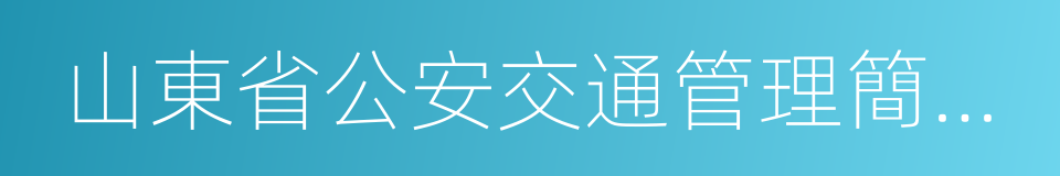 山東省公安交通管理簡易程序處罰決定書的同義詞