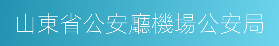 山東省公安廳機場公安局的同義詞