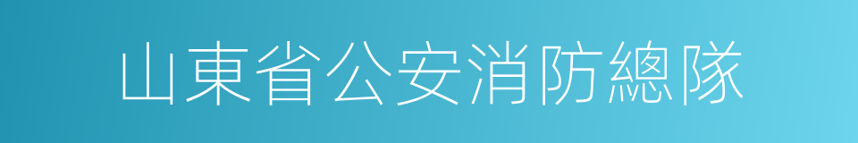 山東省公安消防總隊的同義詞