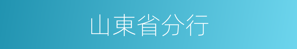 山東省分行的同義詞