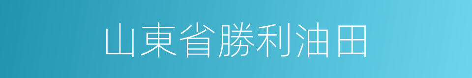 山東省勝利油田的同義詞