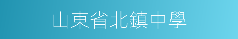 山東省北鎮中學的同義詞