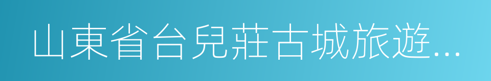 山東省台兒莊古城旅遊集團有限公司的同義詞