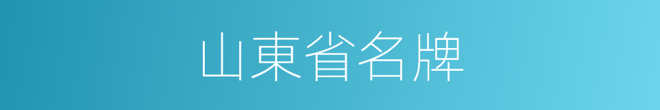 山東省名牌的同義詞