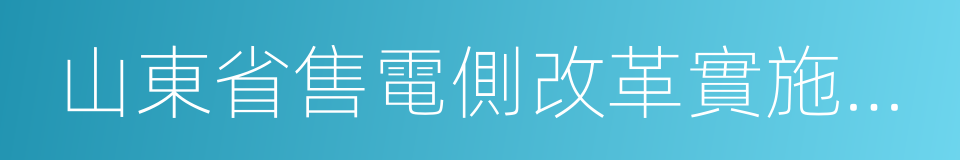 山東省售電側改革實施方案的同義詞