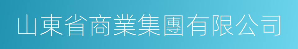 山東省商業集團有限公司的同義詞