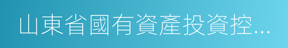 山東省國有資產投資控股有限公司的同義詞