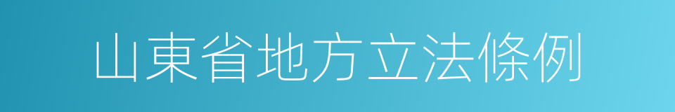 山東省地方立法條例的同義詞