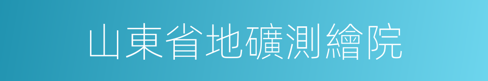 山東省地礦測繪院的同義詞