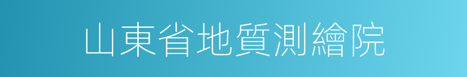 山東省地質測繪院的同義詞
