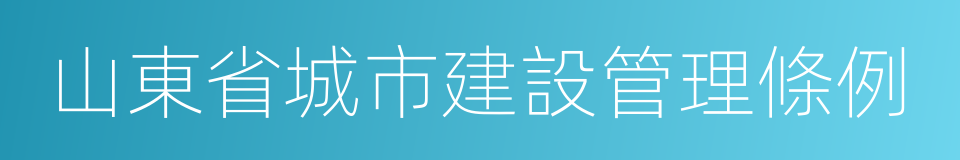 山東省城市建設管理條例的同義詞