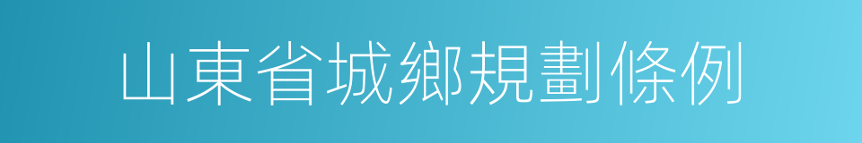 山東省城鄉規劃條例的同義詞