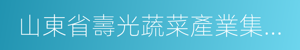 山東省壽光蔬菜產業集團有限公司的同義詞