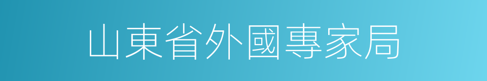 山東省外國專家局的同義詞