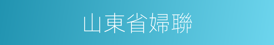 山東省婦聯的同義詞