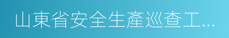 山東省安全生產巡查工作制度的同義詞