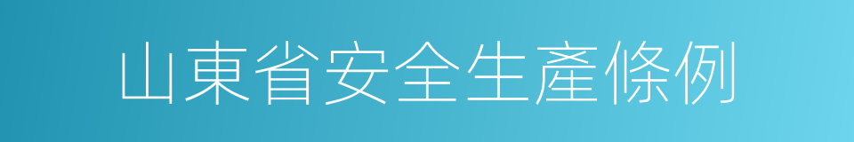 山東省安全生產條例的同義詞