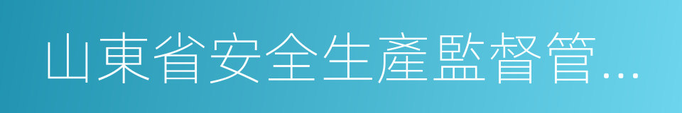 山東省安全生產監督管理局的同義詞