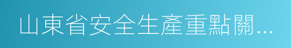 山東省安全生產重點關注縣督導辦法的同義詞