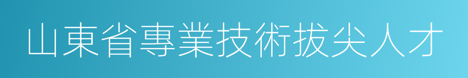 山東省專業技術拔尖人才的同義詞