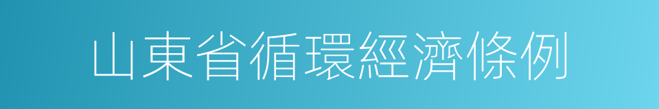 山東省循環經濟條例的同義詞