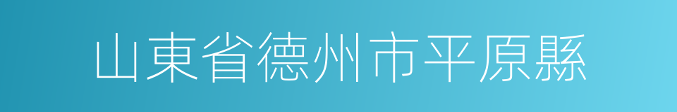 山東省德州市平原縣的同義詞