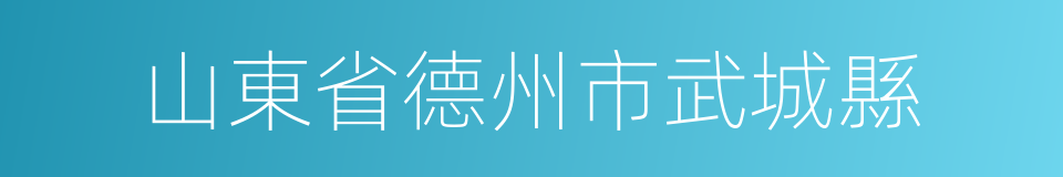 山東省德州市武城縣的同義詞