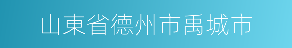 山東省德州市禹城市的同義詞