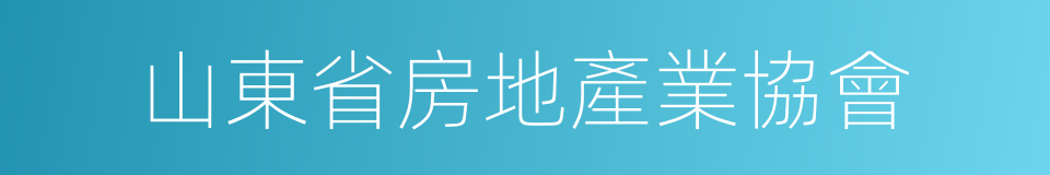 山東省房地產業協會的同義詞