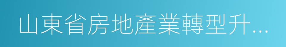 山東省房地產業轉型升級實施方案的同義詞