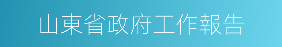 山東省政府工作報告的同義詞