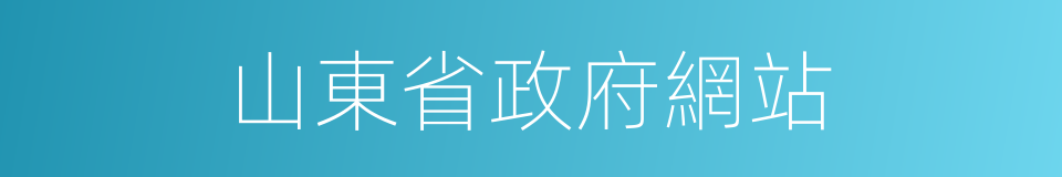 山東省政府網站的同義詞