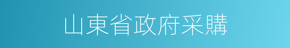 山東省政府采購的同義詞