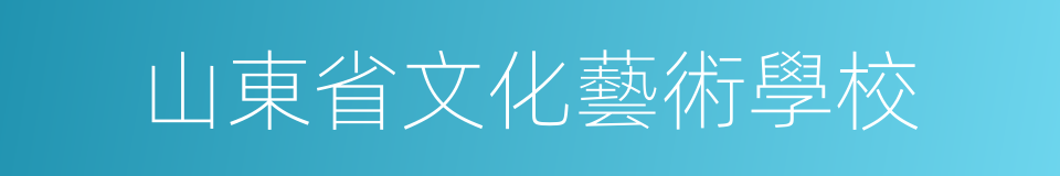 山東省文化藝術學校的同義詞